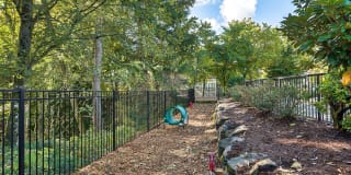 Estates at Cougar Mountain Gallery 28