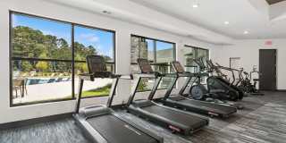 Ascend at Carlton Gallery 16