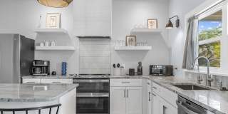 19 Vip Island Gallery 17