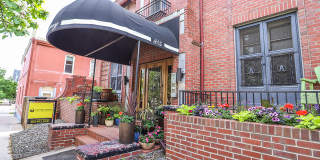 The Anglesey Gallery 8