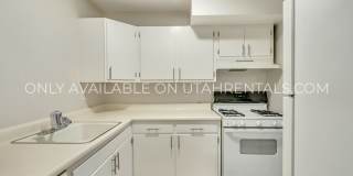 249 S 700 E Gallery 8