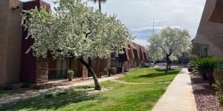 4960 Indian River #467 - 2  Bedrooms , 1 Bathroom, 816 SQFT Gallery 6