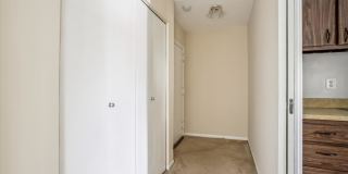 9712 Kingsbridge Dr Apt 303 Gallery 2