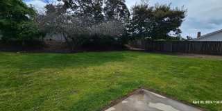 Orcutt Single Story Recently Updated Home with Large Yard Gallery 48