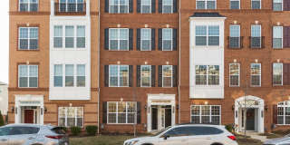 23479 BELVOIR WOODS Terrace Gallery 1