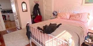 Beautiful 3 Bed/ 1 Bath Available 9/1/26 Gallery 20