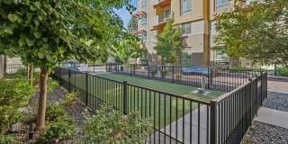 AMLI Cherry Creek Gallery 4