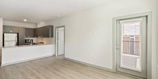 The Belle at the Lamar Gallery 55