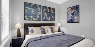 Springs at Colonial Gallery 18