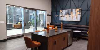 Degree of Honor Gallery 14