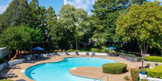 Bellingham Apartment Homes Gallery 26