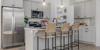 Mt. Rainier Gallery 12