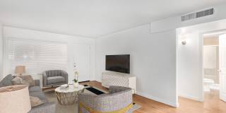 Decco 109 Gallery 38