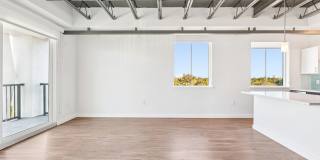 Elements on Third Gallery 7