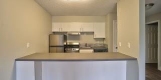 The Zimmer Gallery 23