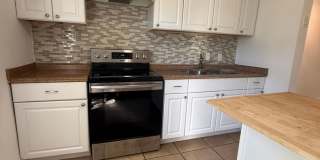 3 BR/1BA | Newly Renovated Single Family Home | Gated backyard | In South Tampa! Gallery 4