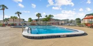 Buena Vista Gallery 86