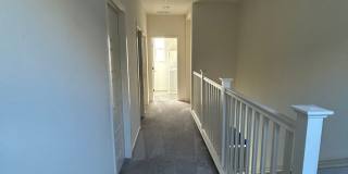 PET FRIENDLY Gallery 25