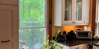 119 Antrim St Gallery 10