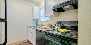 Park Terrace Gallery 29