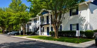 Southern Oaks Southern Oaks Gallery 1