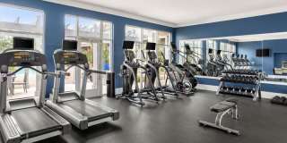 CityPark View Gallery 16