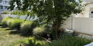 43 Ocean Avenue Gallery 20