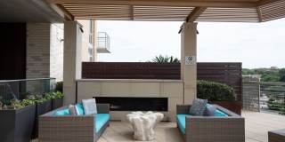 The Catherine Gallery 8