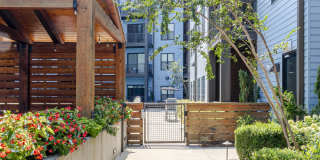 5 Points Northshore Gallery 34