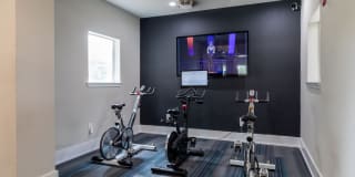 Emerson at Ford Park Gallery 1