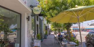 The Jayne Gallery 17