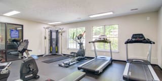 Place at Midway Gallery 20