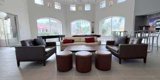 TGM Bermuda Island Gallery 14