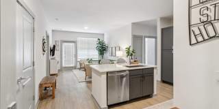 The Belle at the Lamar Gallery 19