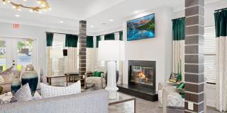 The Columns at Lake Ridge Gallery 19