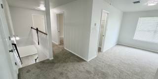 1146 KITE COR Gallery 29