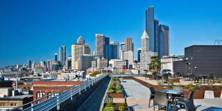 Stadium Place Gallery 36