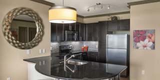 Emory Point Gallery 1