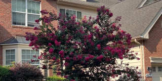 43272 BALTUSROL Terrace Gallery 56