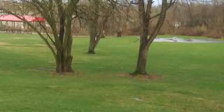 5 Dartmouth Ct Gallery 1