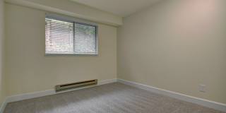 Foster Greens Gallery 19