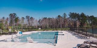 25 Sago Palm Way Gallery 50