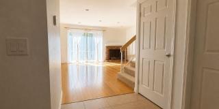12245 Shady Hollow Ln Gallery 5