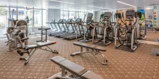 The Grand Gallery 103