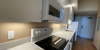 Red Oak at 83 Hanover Street Gallery 29