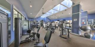 5409 SUNSET FALLS DRIVE Gallery 46