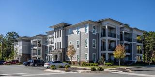 Holly Springs Gallery 31