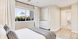 Lexington Palms at the Forum Gallery 21