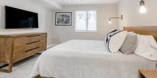 Coconut Palm Club Gallery 52