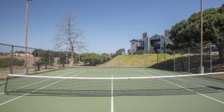 Cypress Creek Gallery 36